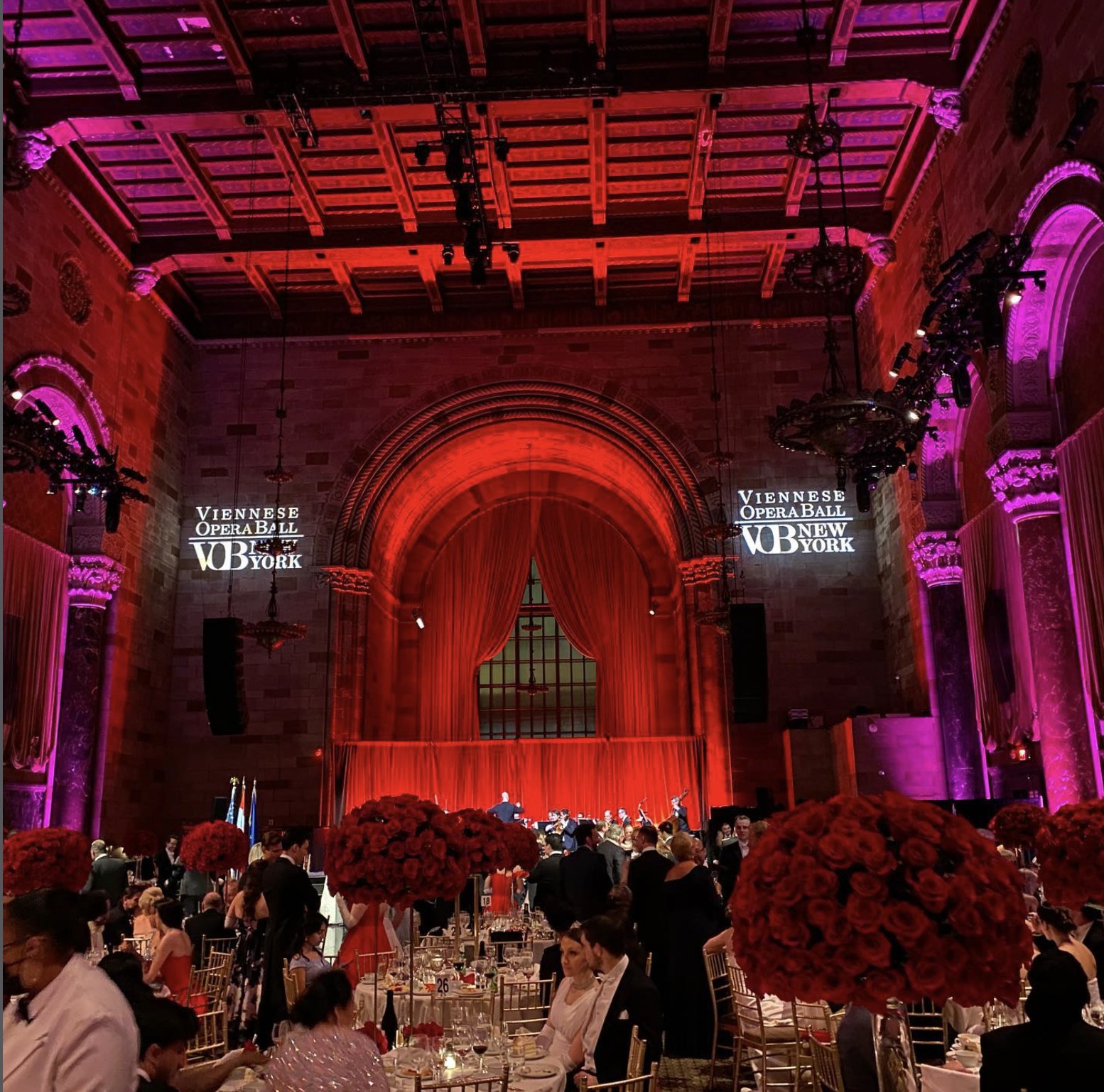 Vienna Opera Ball after-party