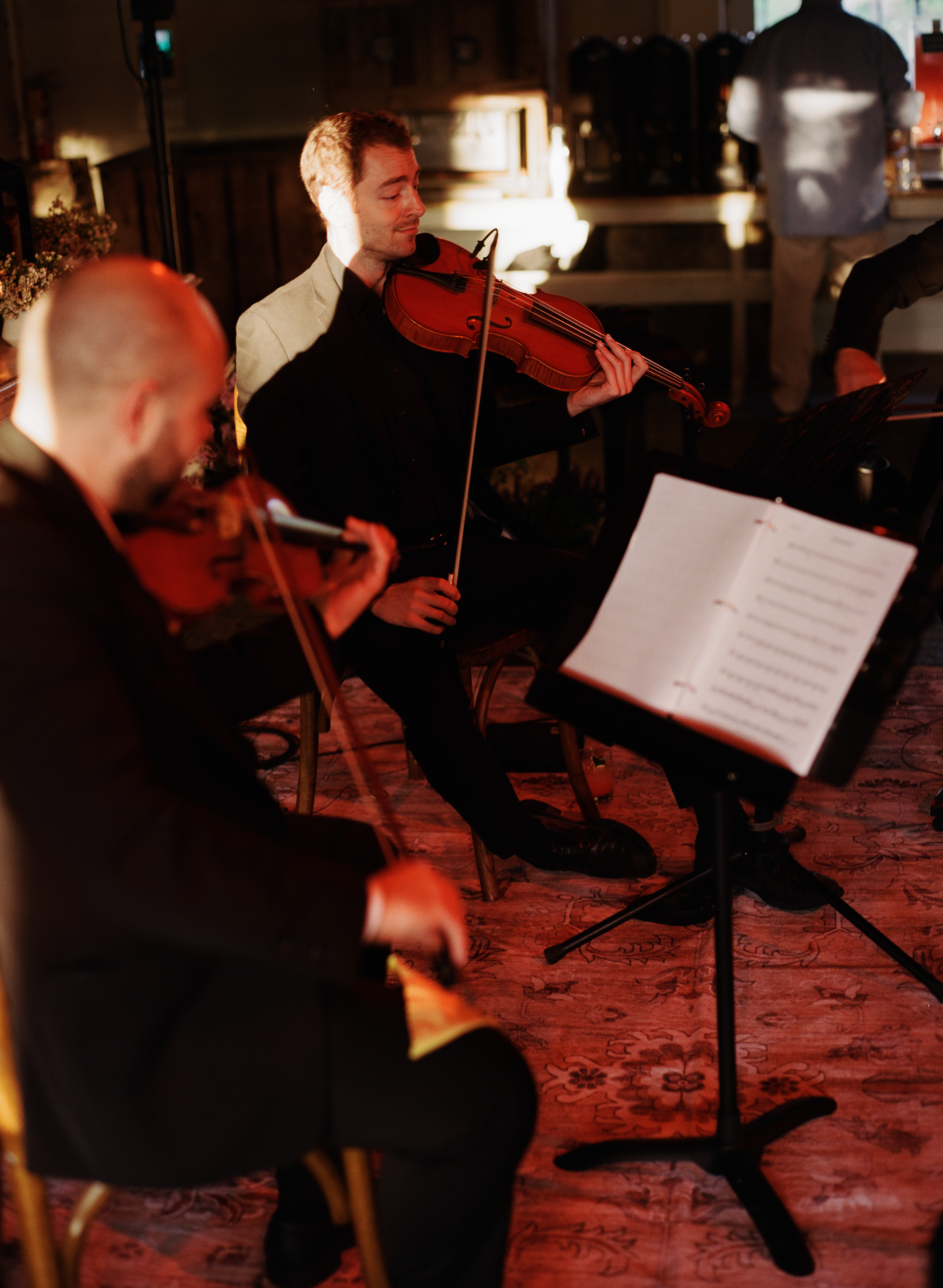 Indoor string quartet performance