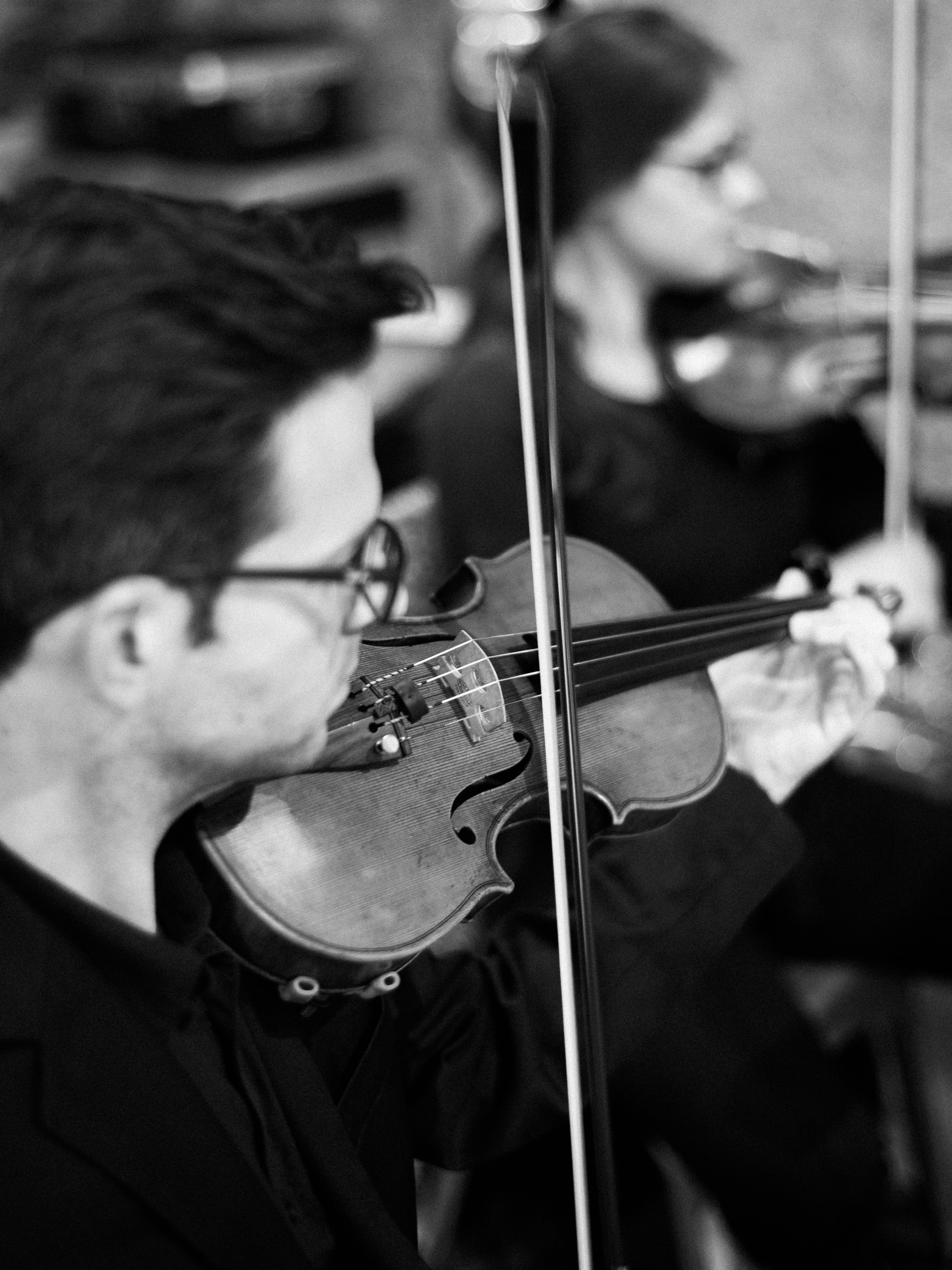 Violin black and white